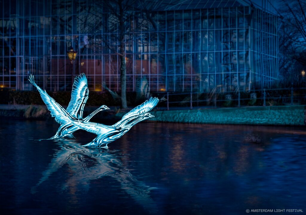 pretty view amsterdam lights festival swan lights 2025